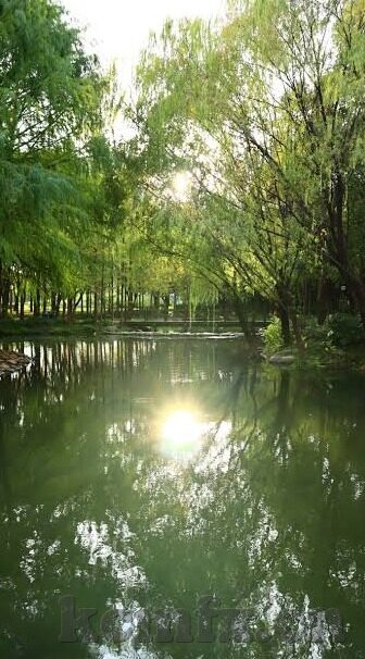 果冻传媒麻豆入口-探索果冻传媒麻豆入口，数字时代下的文化现象与审美趋势