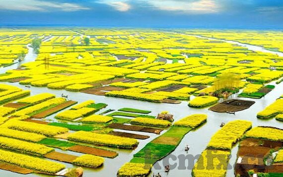 麻豆社区app下载-探秘互联网娱乐新风尚——麻豆社区app下载，科技与娱乐的完美融合