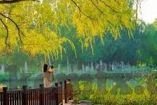 糖心app下载网站进入ios-糖心娱乐新体验，iOS平台的探索之旅